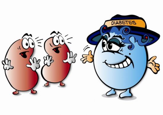 Почки и диабет